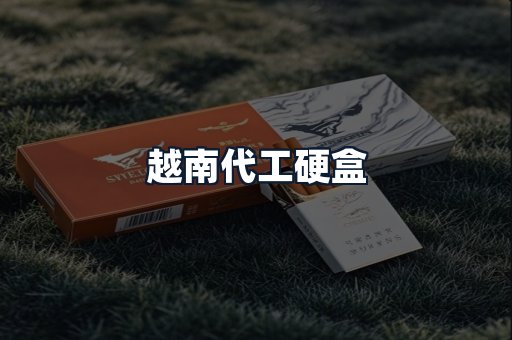 越南代工硬盒